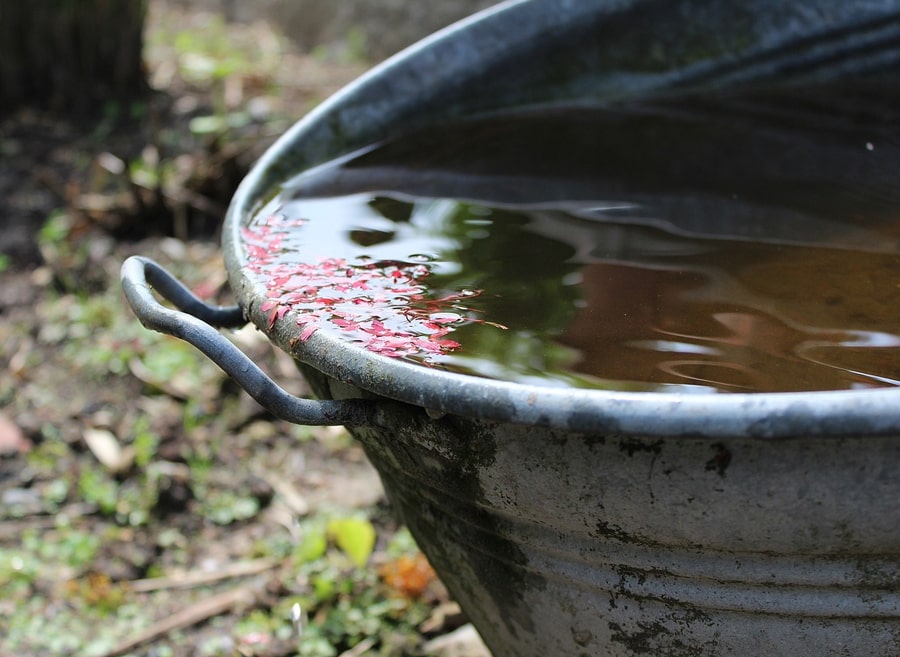 rainwater in big metal bucket