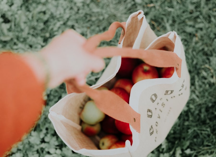 apples inside the reusable bags
