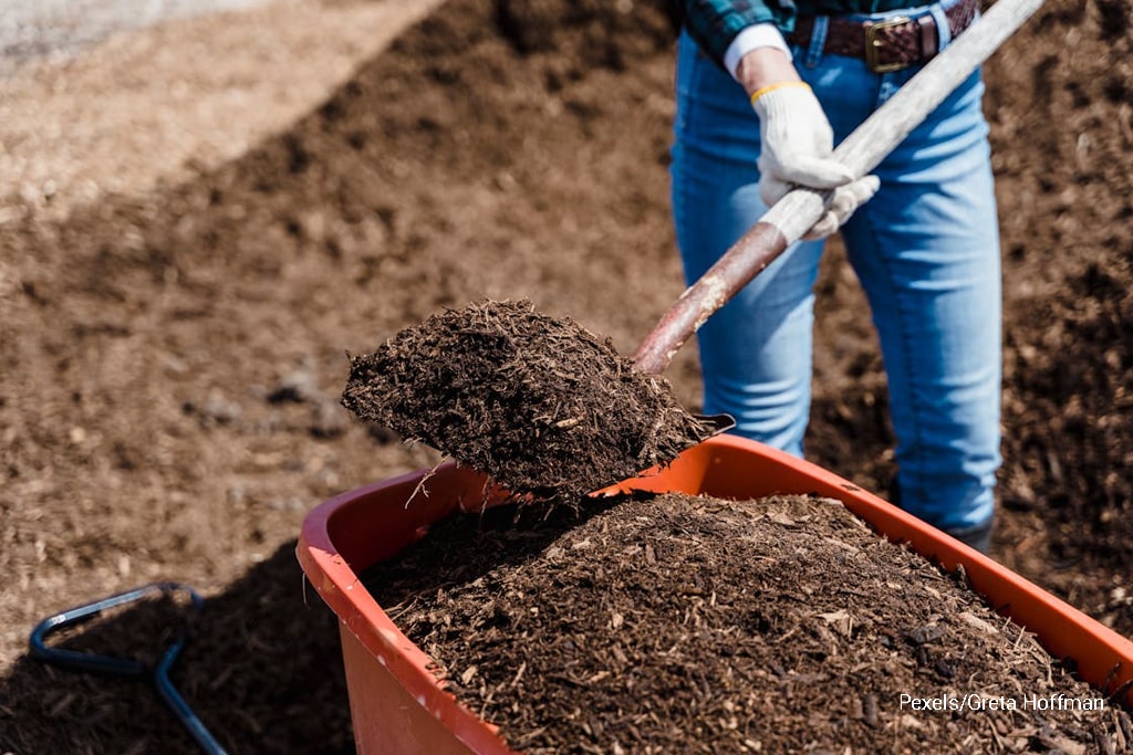 woman shoveling mulch