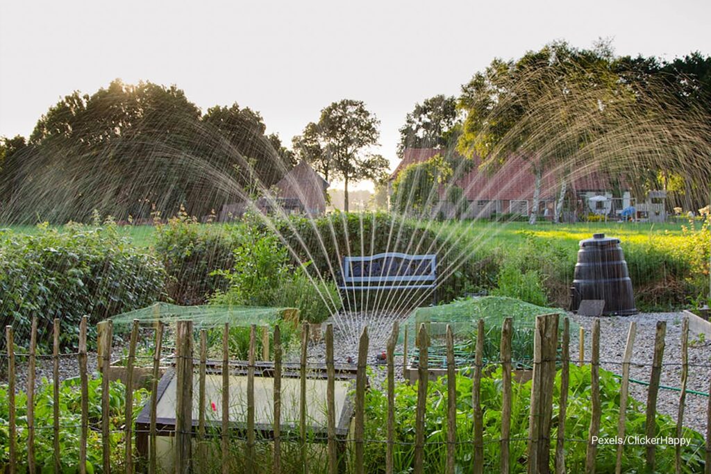 water sprinkler on plants