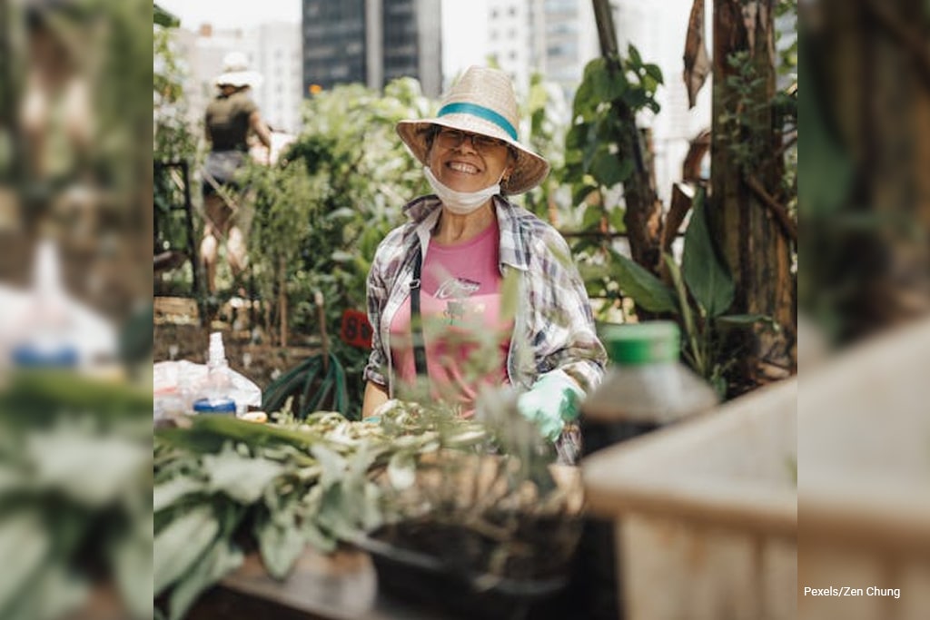 old woman wearing straw hat, doing gardening at the rooftop