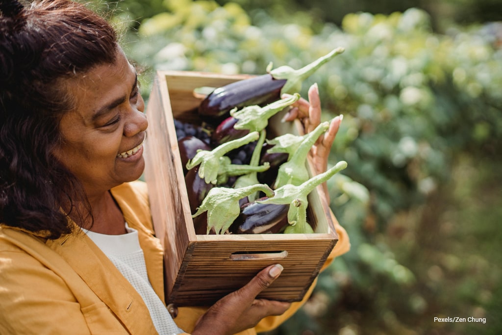 woman carrying basket of eggplant