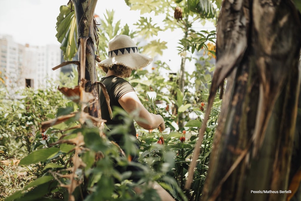 woman doing gardening at the rooftop