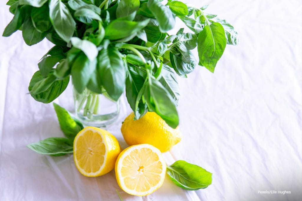 lemon and basil