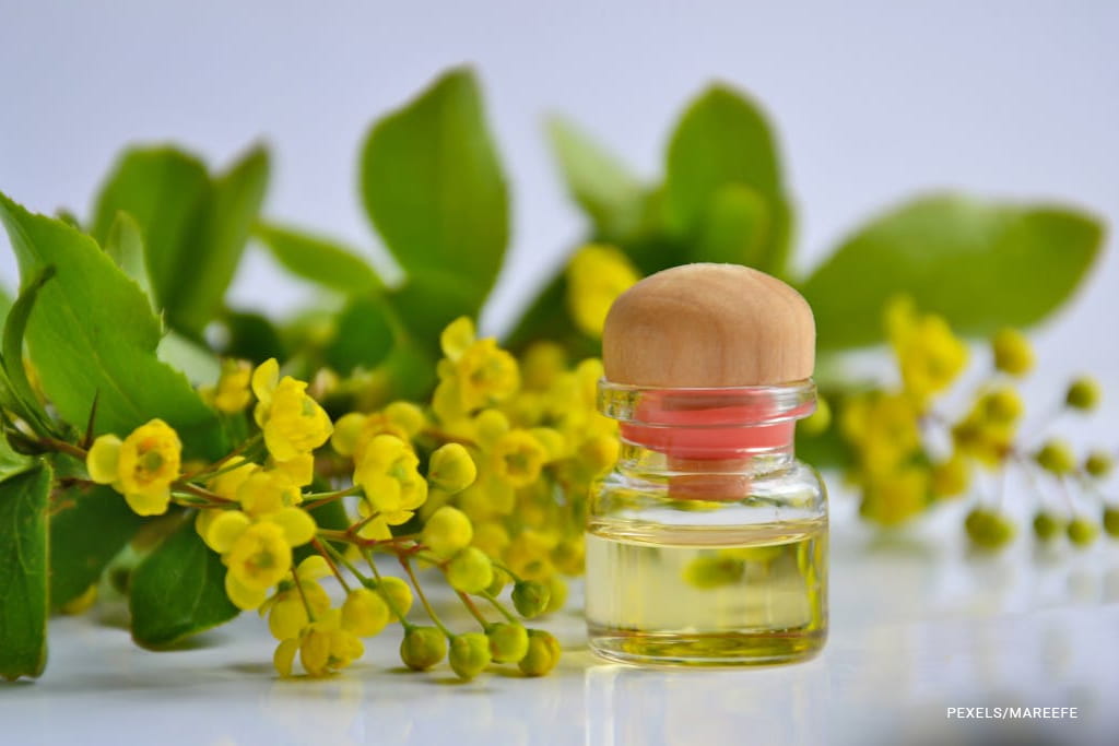 yellow flowers beside a clear glass bottle with essential-oil