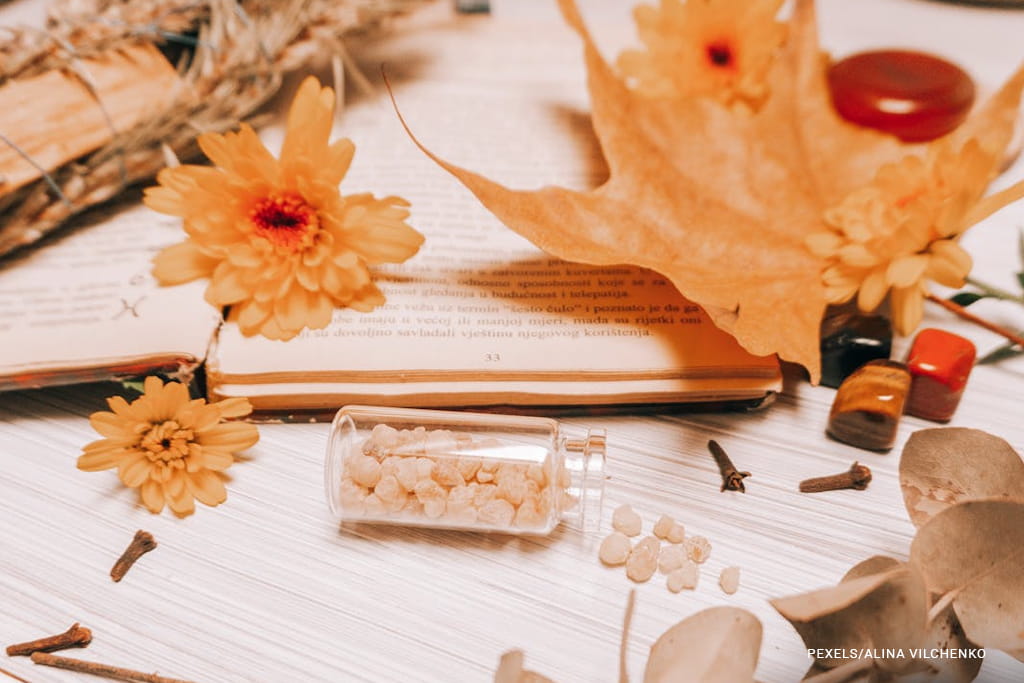orange flower on white book page